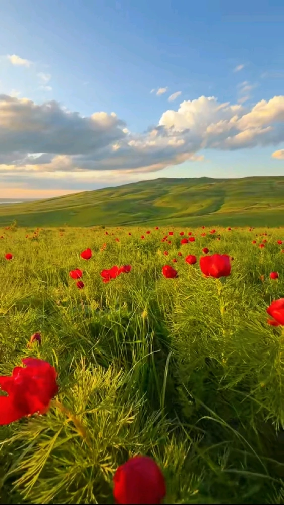 GIF uploaded by 𝓢𝓮𝓻𝓮𝓷 • 𝓢𝓮𝓻𝓮𝓷𝓭𝓲𝓹𝓲𝓽𝔂