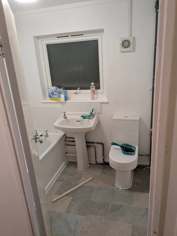 Image uploaded by Connor