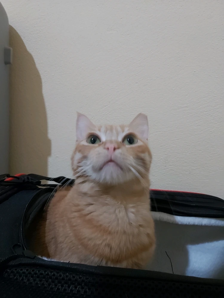 Image uploaded by Rima