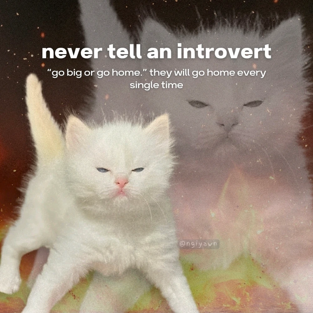 GIF uploaded by Jasmine V