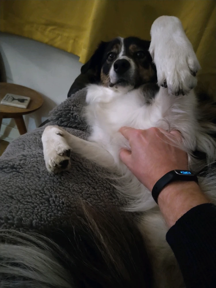 GIF uploaded by Colin