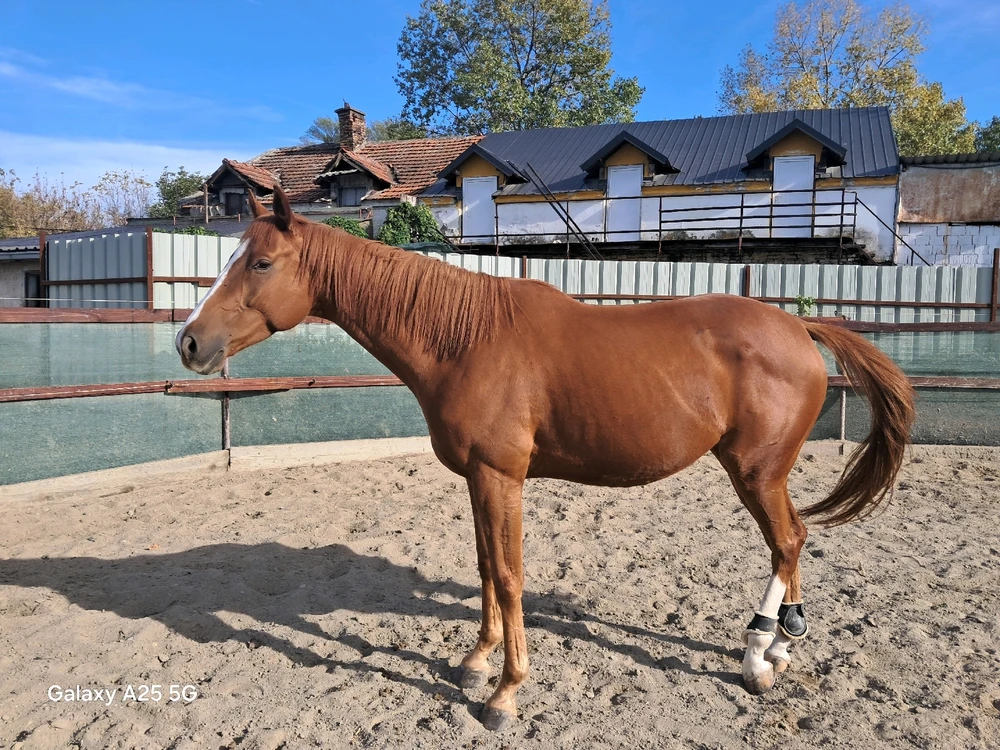 GIF uploaded by Milica