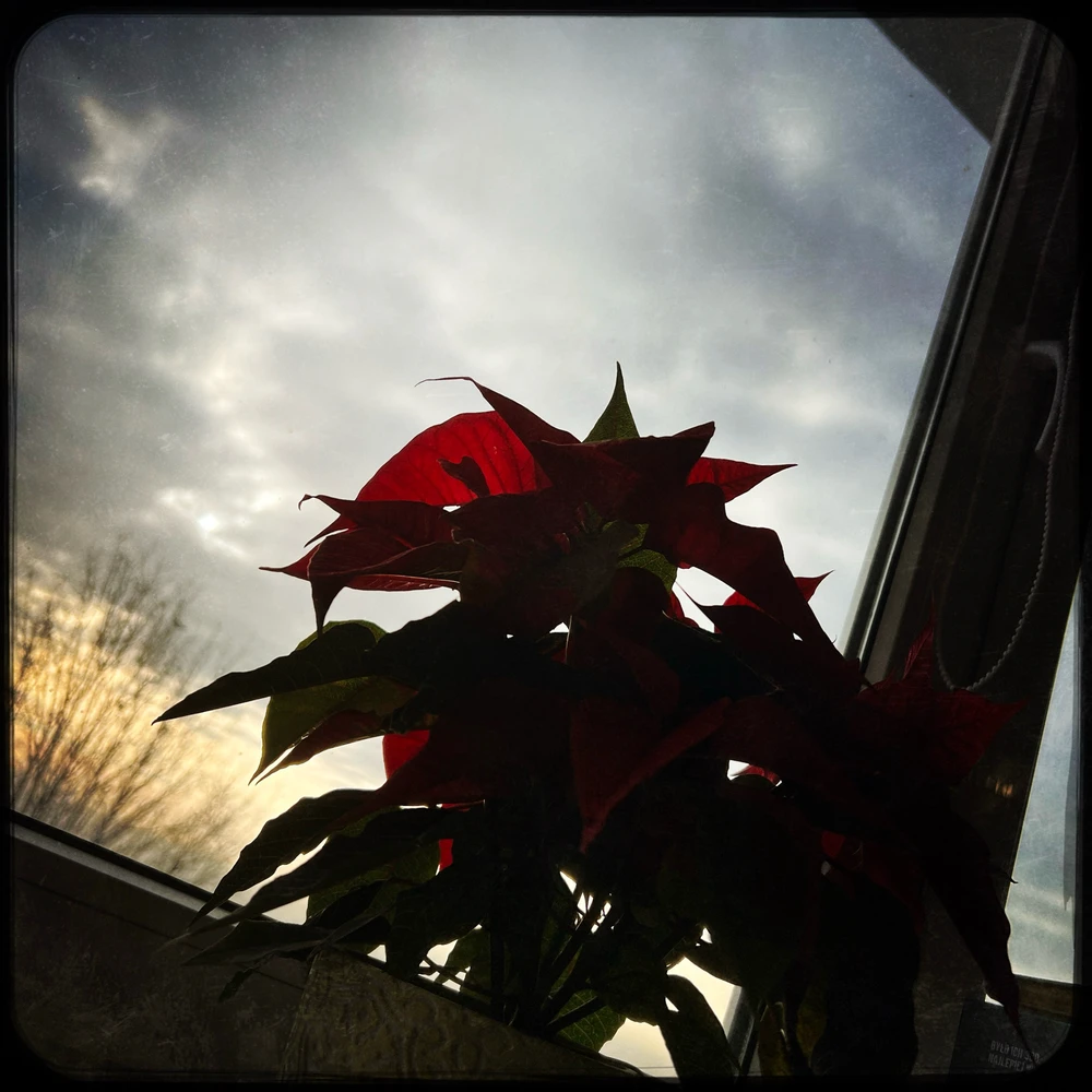 GIF dodany przez Krzysiek