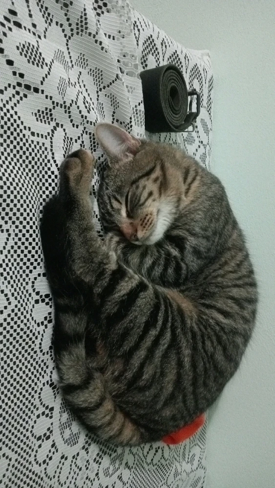 GIF încărcat de Mihai