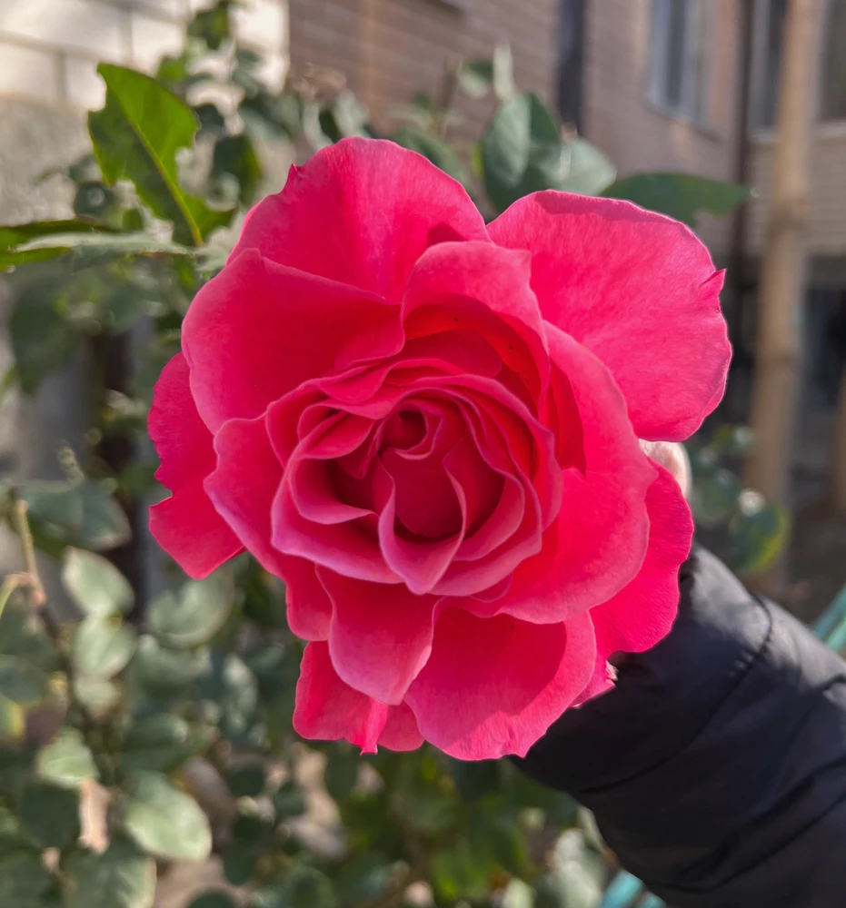 GIF uploaded by 𝔇𝔦𝔞𝔫𝔞