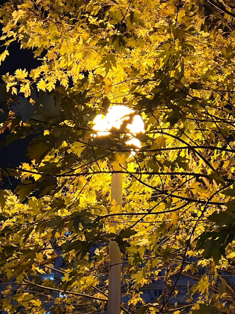 GIF uploaded by 𝔇𝔦𝔞𝔫𝔞