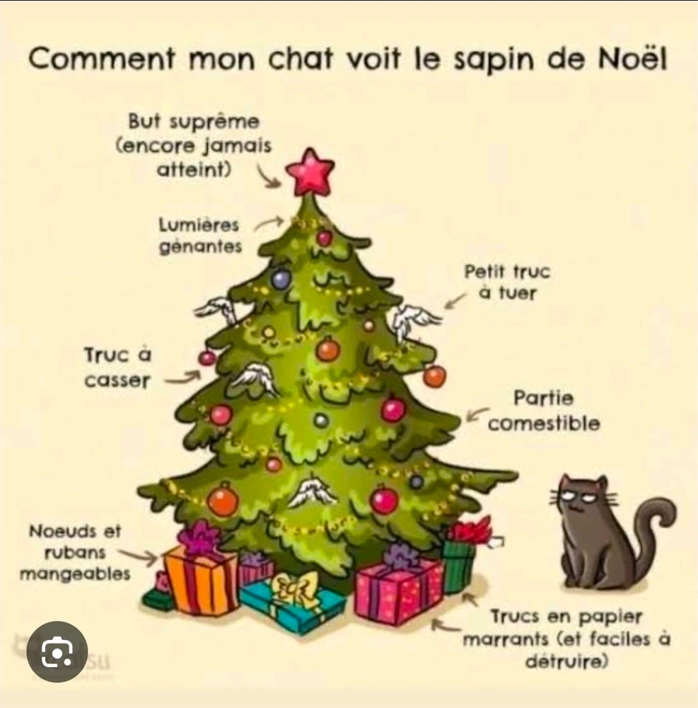 GIF ajouté par Yann