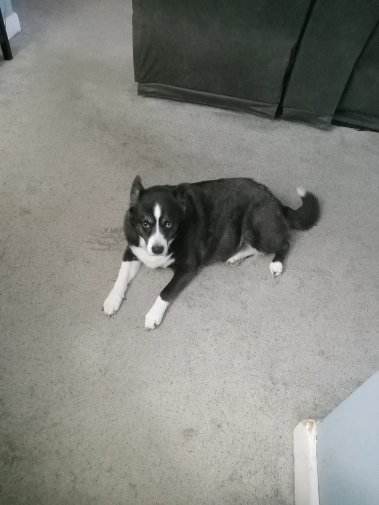 Image uploaded by Travis "Bickle" Pugh