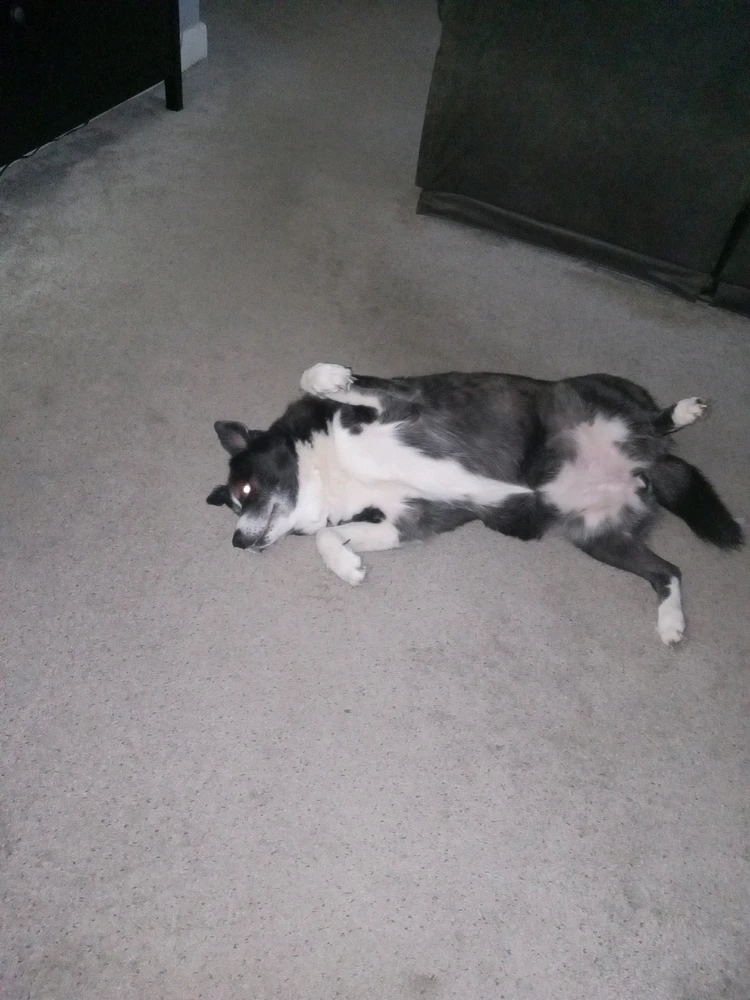 Image uploaded by Travis "Bickle" Pugh