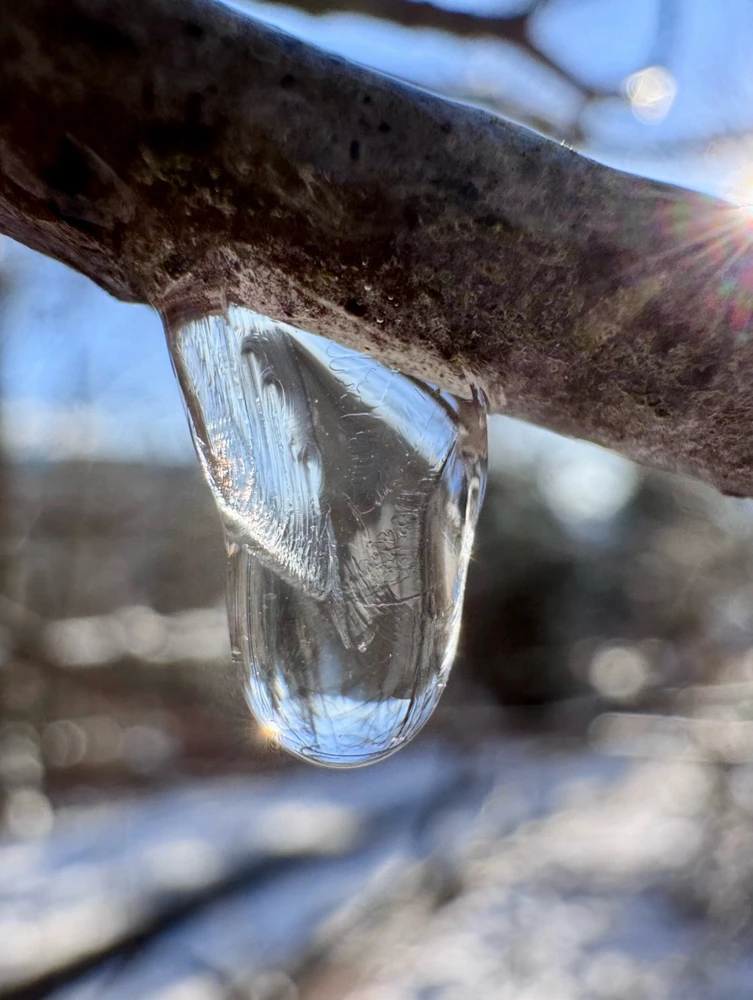 GIF uploaded by Ricarda