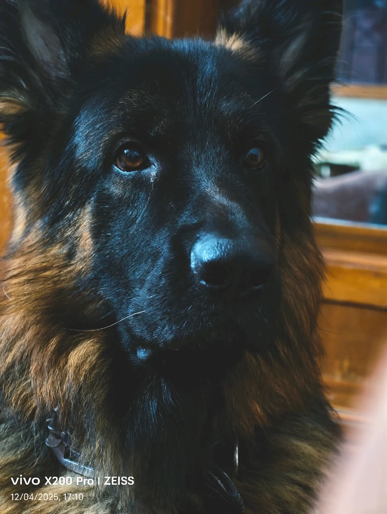 GIF uploaded by John Paul Bennett