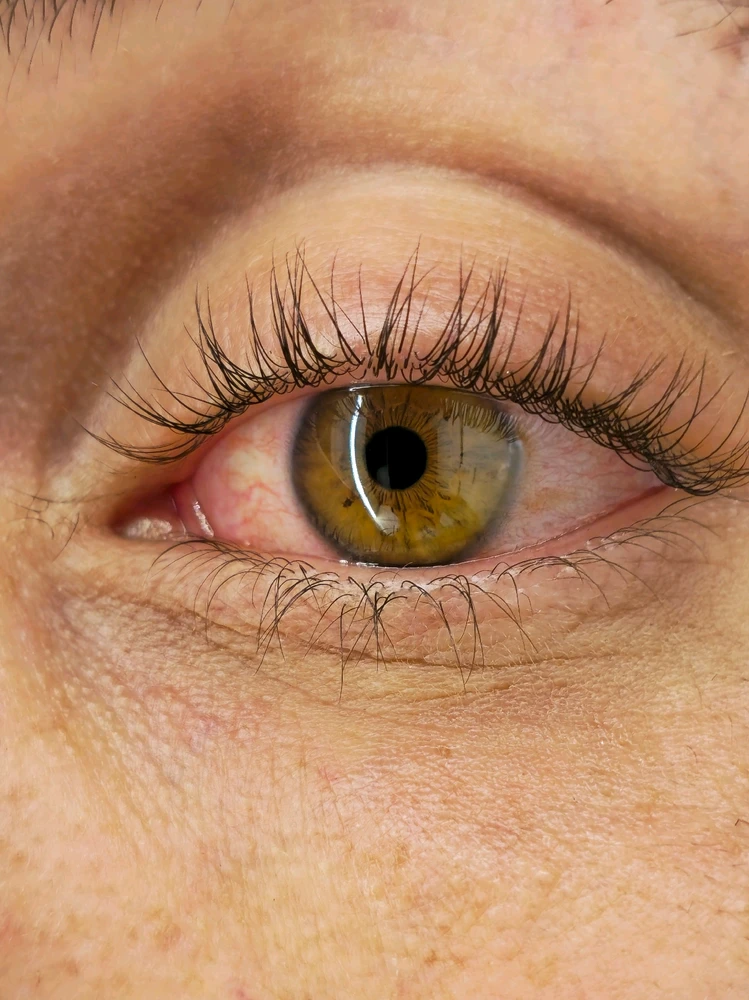 Merto tarafından yüklenen GIF