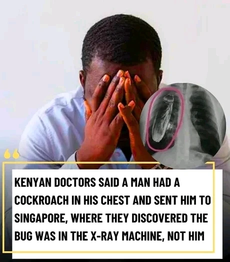 GIF uploaded by Prewish