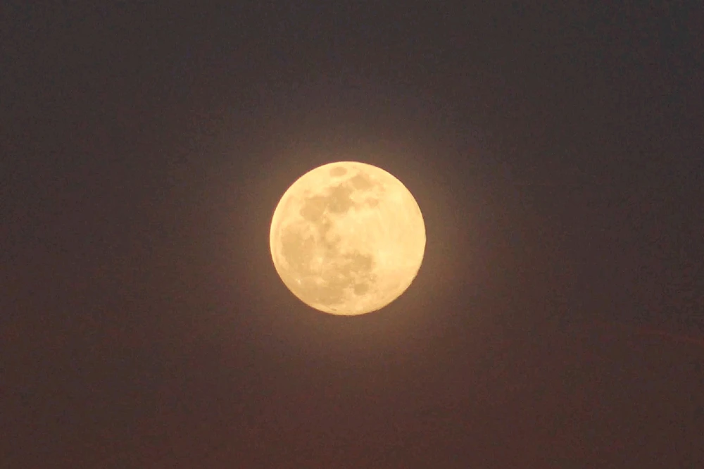 Image uploaded by 💜J💜o💜e💜y💜