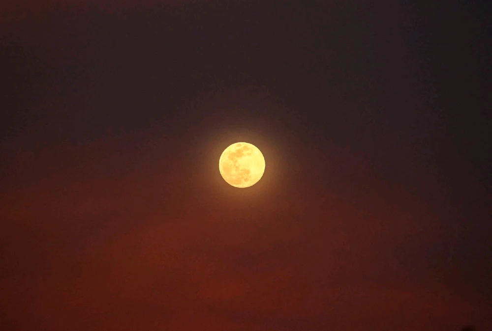 Image uploaded by 💜J💜o💜e💜y💜