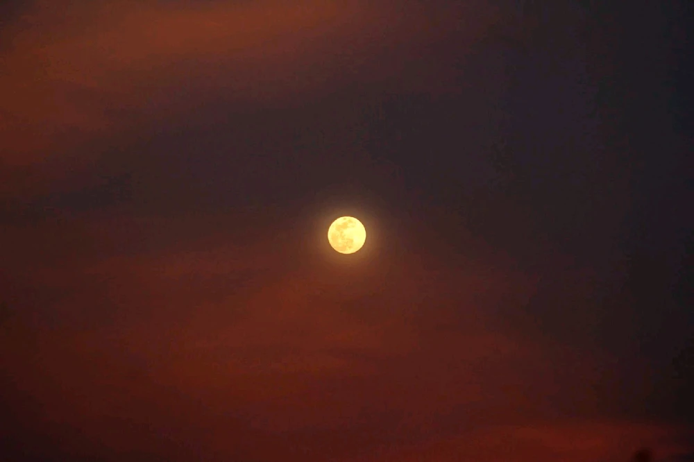 Image uploaded by 💜J💜o💜e💜y💜