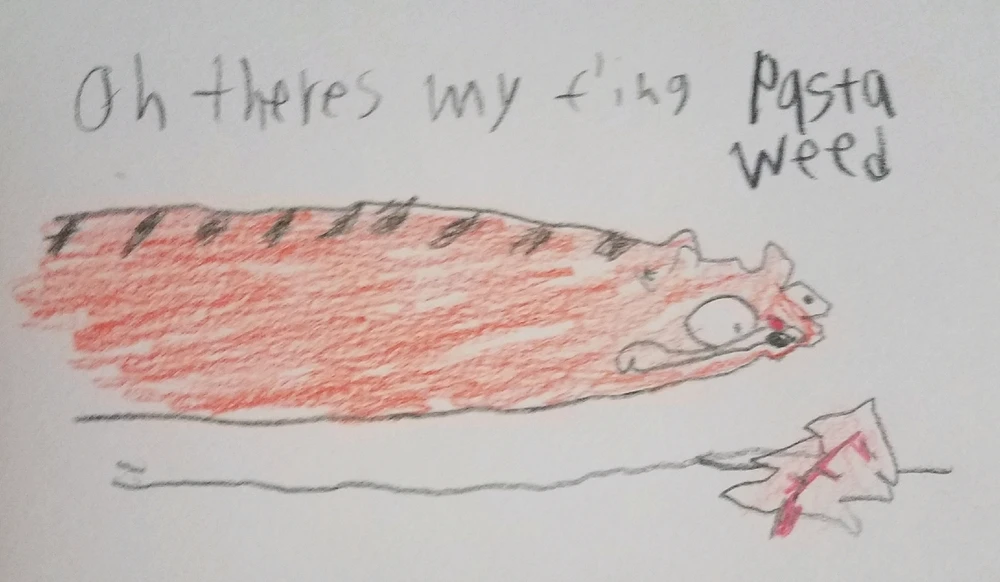 Image uploaded by Aiden