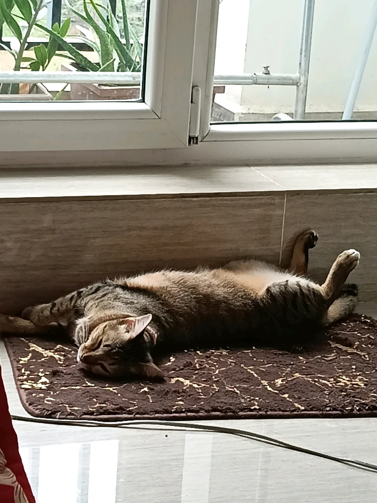 GIF uploaded by Maria