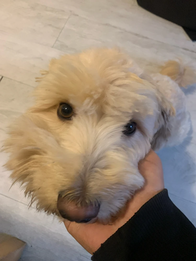 Ali tarafından yüklenen GIF