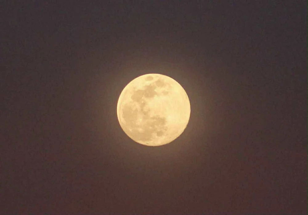 GIF uploaded by Gray