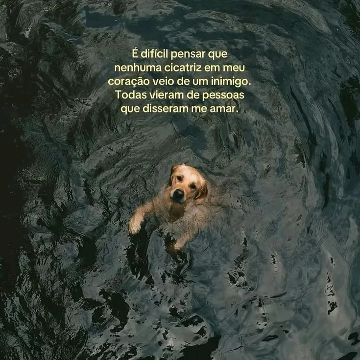 GIF enviado por Laylla