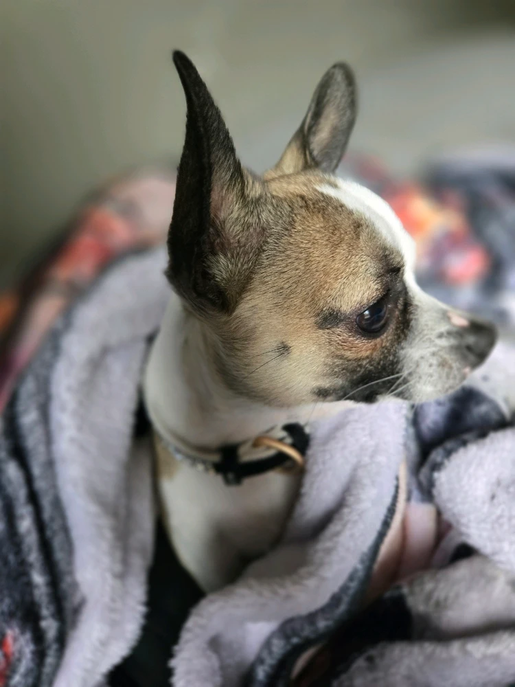 GIF uploaded by gabriella