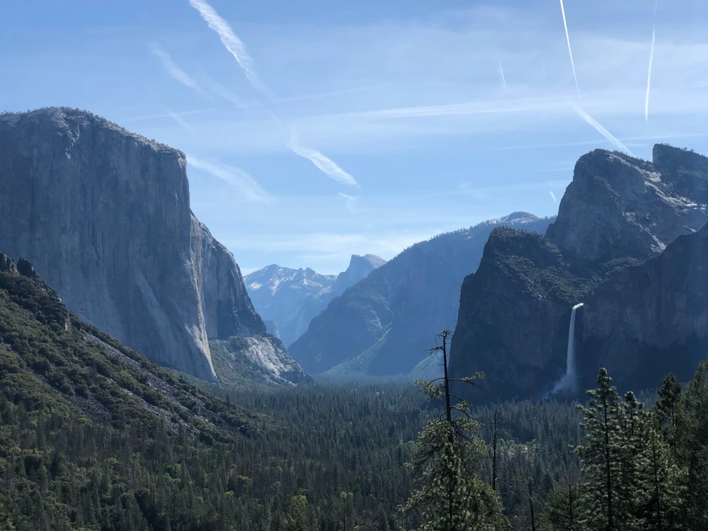 Image uploaded by Ian