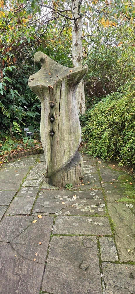 Image uploaded by Austin