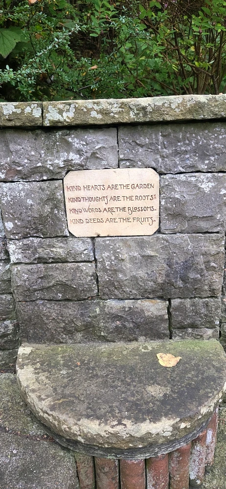 Image uploaded by Austin