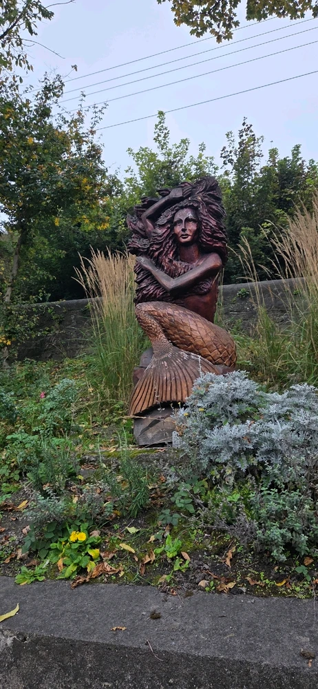 Image uploaded by Austin