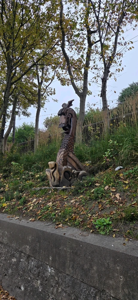 Image uploaded by Austin