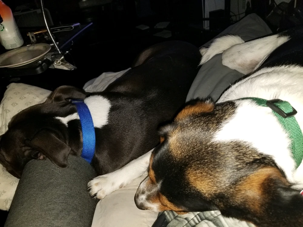 GIF uploaded by Aaron