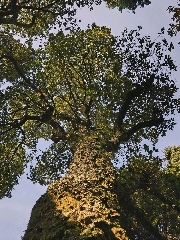 Image uploaded by Marissa