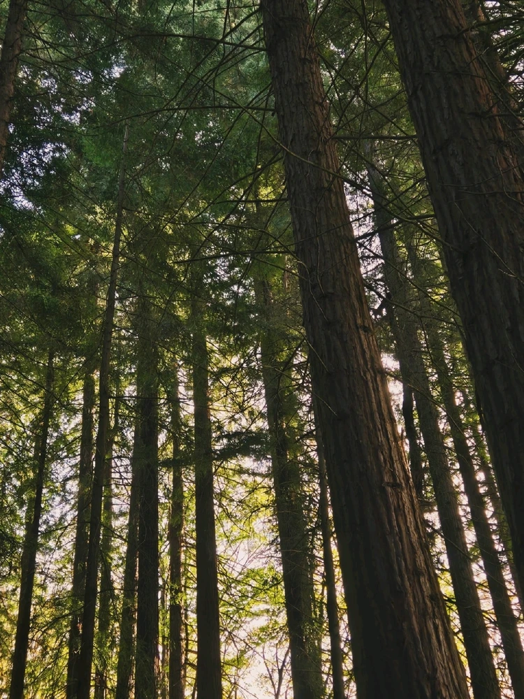 Image uploaded by Marissa