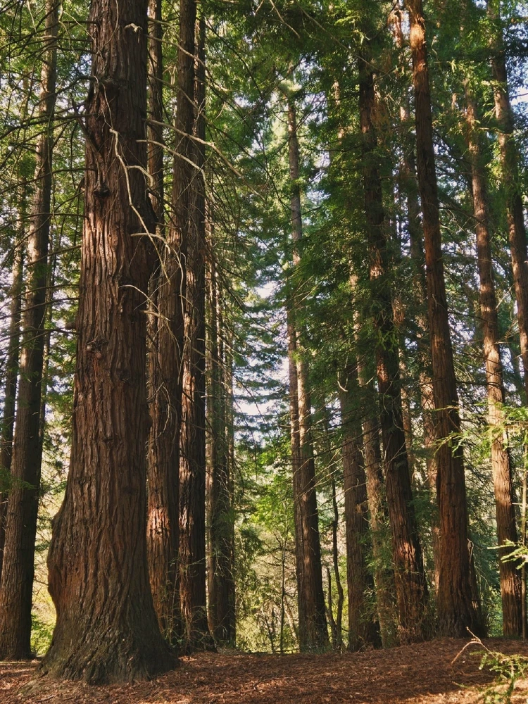 Image uploaded by Marissa