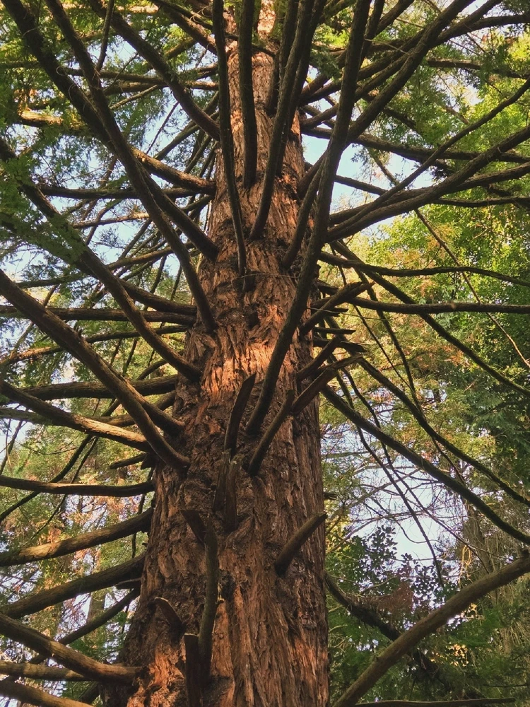 Image uploaded by Marissa