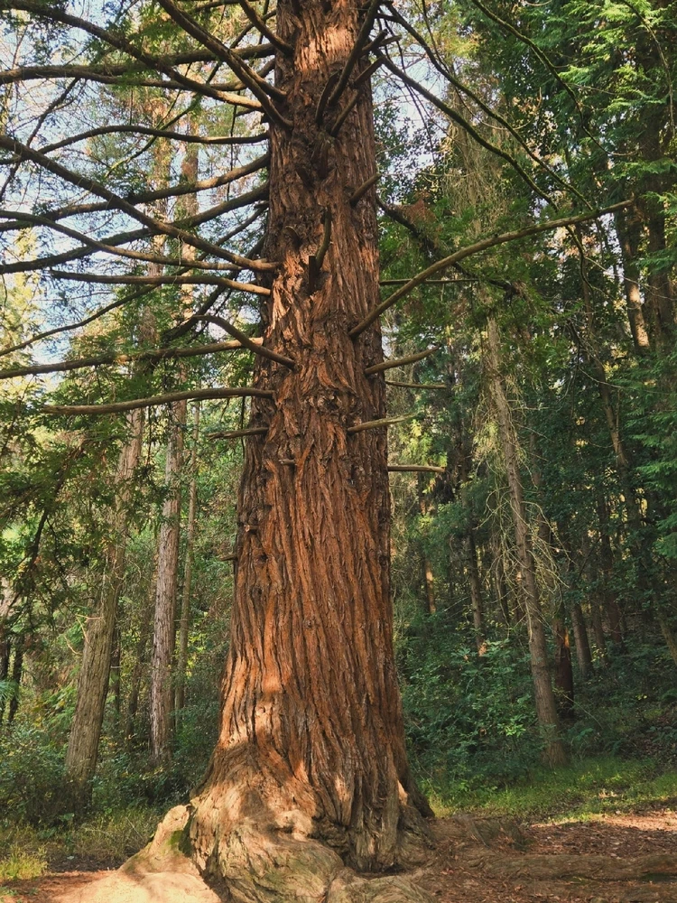 Image uploaded by Marissa