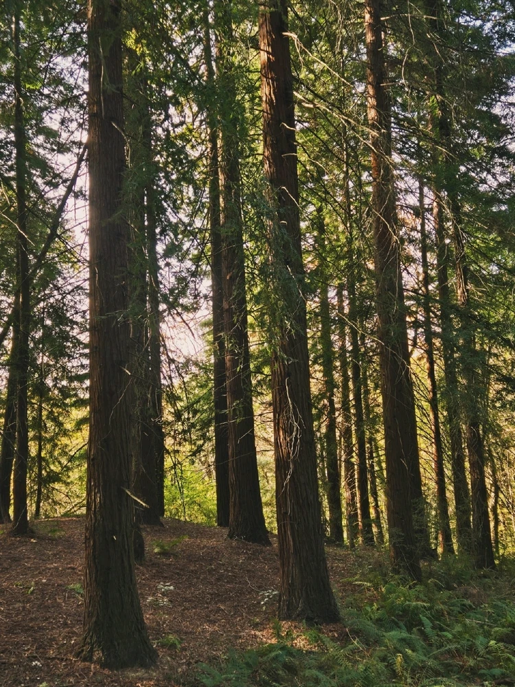 Image uploaded by Marissa