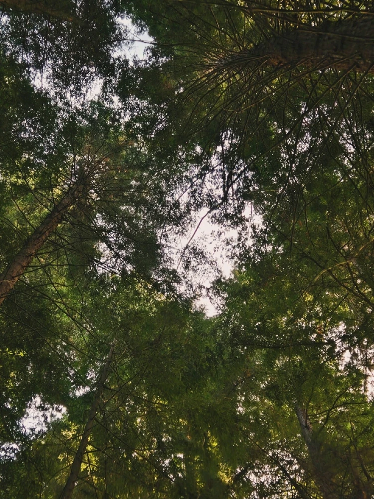 Image uploaded by Marissa