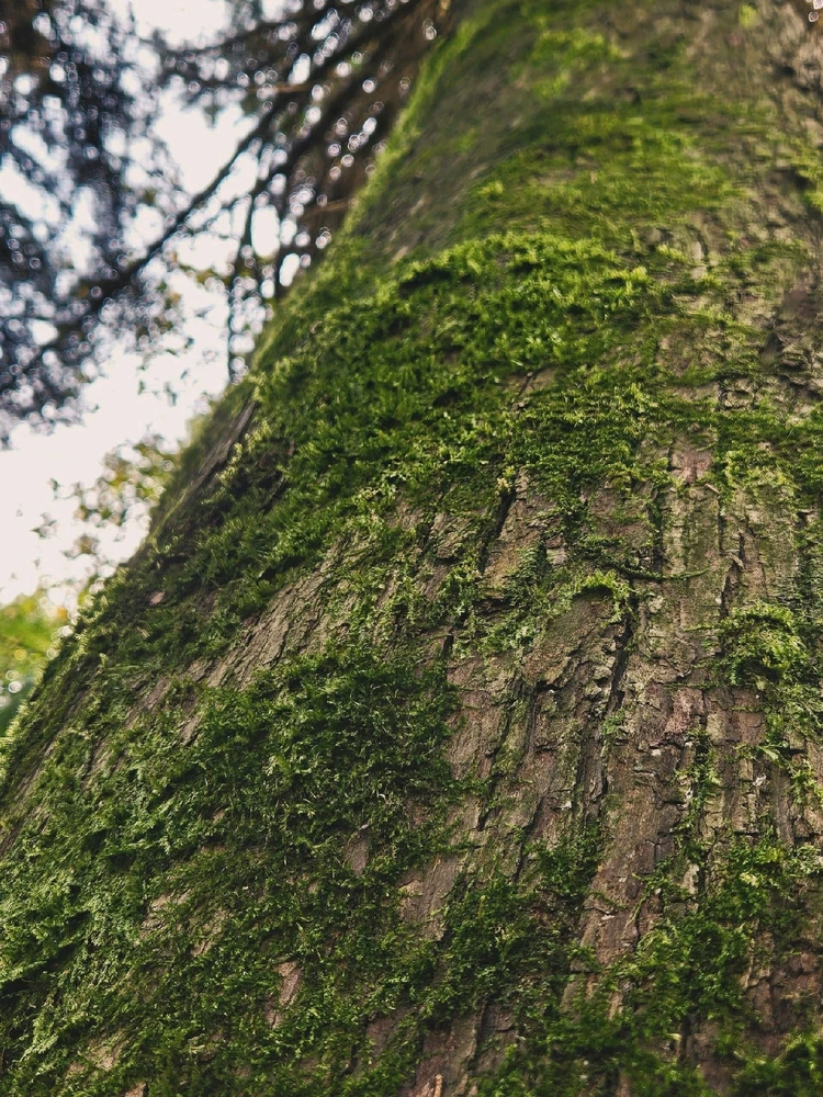 Image uploaded by Marissa