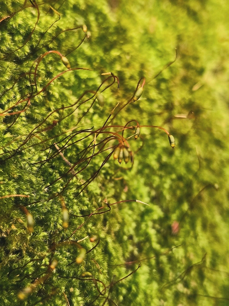 Image uploaded by Marissa