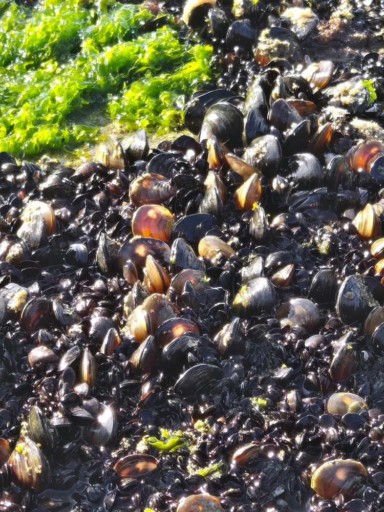 Image uploaded by Marissa