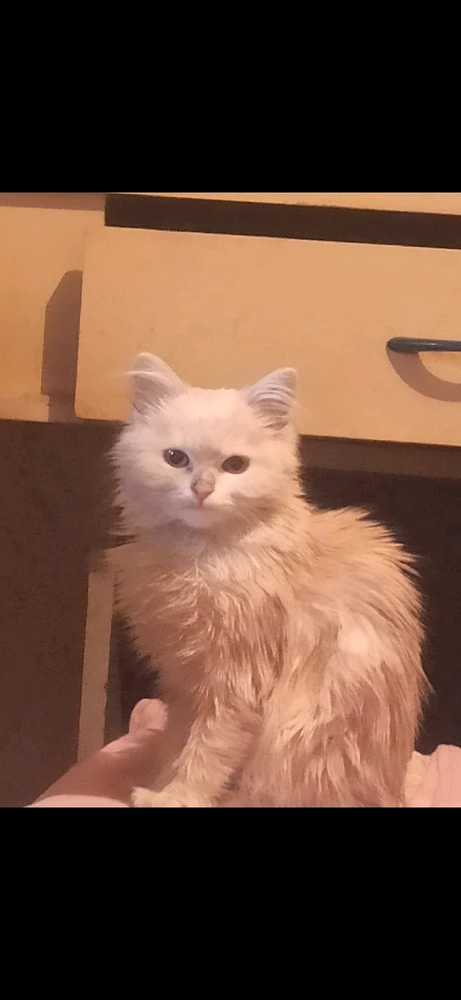 Image uploaded by David