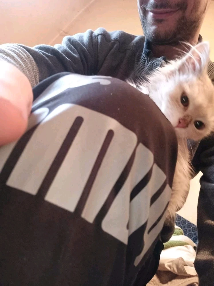 Image uploaded by David