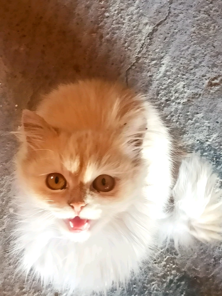 Image uploaded by David