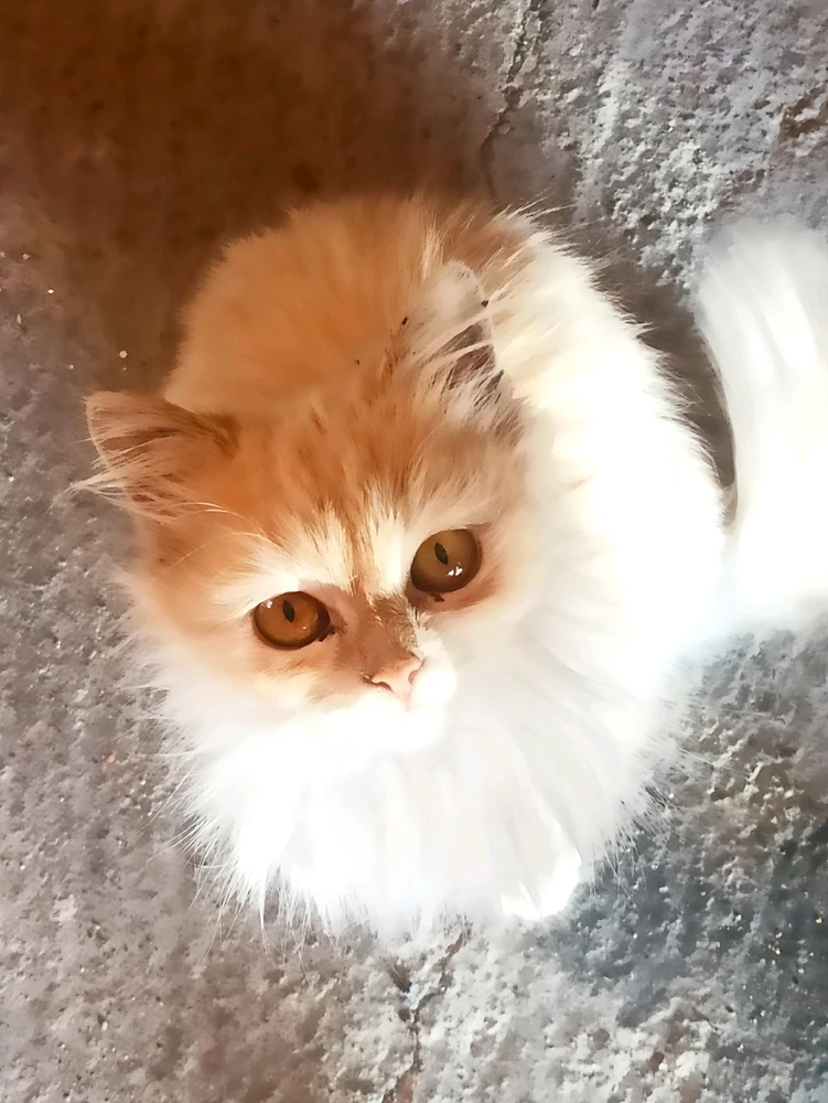 Image uploaded by David