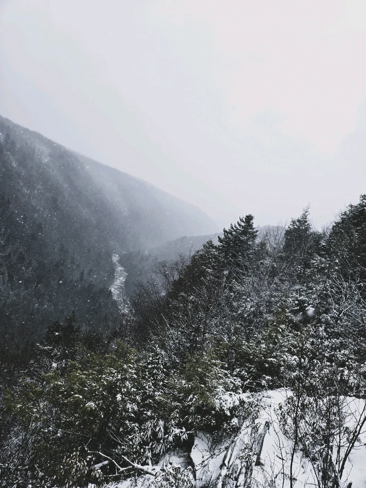 GIF uploaded by Ethan