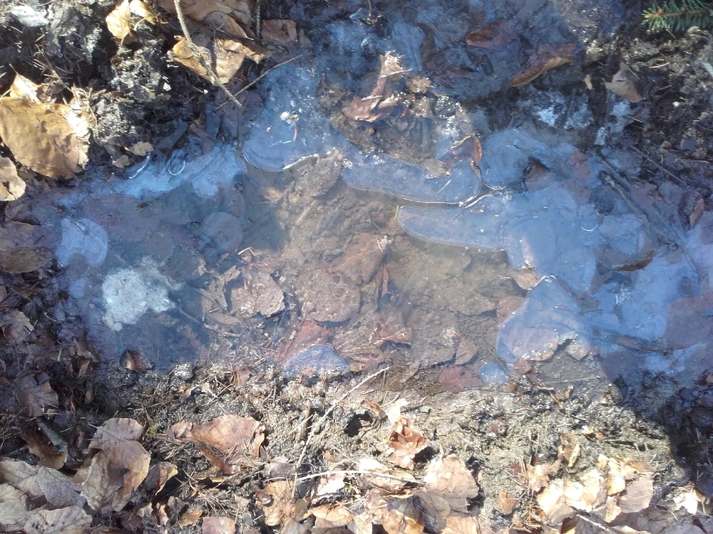 Bild hochgeladen von Felix