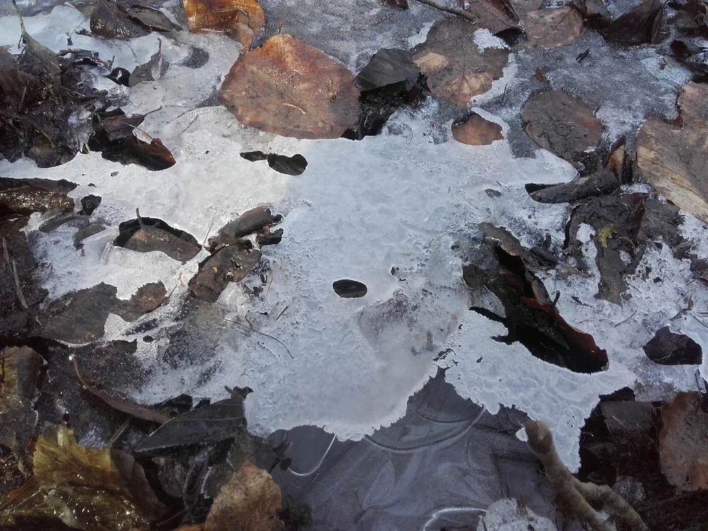 Bild hochgeladen von Felix