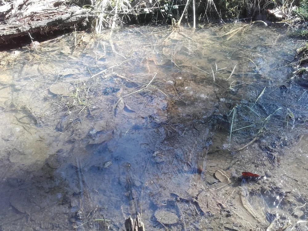 Bild hochgeladen von Felix